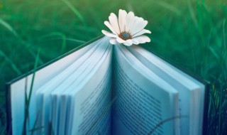 单招是什么文凭（大学单招是什么文凭）