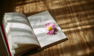 马之千里者的之是什么意思（马之千里者之是什么意思是宾语前置的标志词吗）