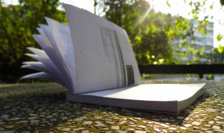 若夫日出而林霏开下一句是什么（若夫日出而林霏开的意思）