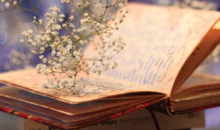 什么千里共婵娟上一句 千里共婵娟前面一句