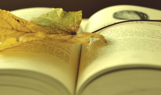 时代精神的内容是什么 时代精神的内容是什么在哪页