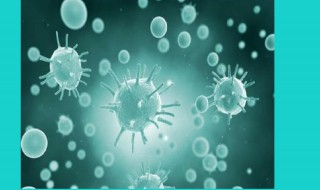 生物学是研究什么和什么的科学（生物学是研究什么和什么的科学?）