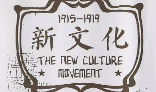 新文化运动的两大口号是什么（新文化的运动的两大口号是什么）