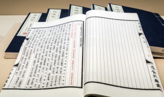 本家是什么意思 二次元本家是什么意思