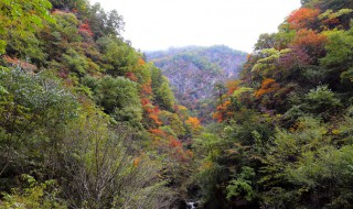 分水岭的意思（分水岭的意思代表什么）