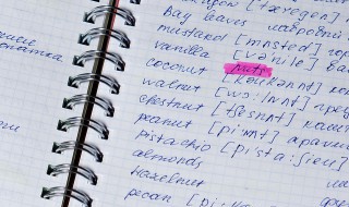 四级作文模板万能句型开头（四级作文模板万能句型开头结尾）