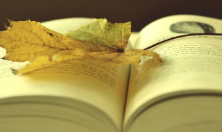 不客气是什么意思（女生说不客气是什么意思）