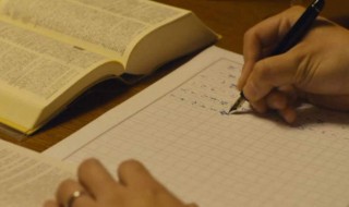 vest是什么意思中文