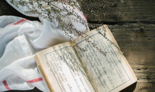 姿态是什么意思（姿势是什么意思解释词语）