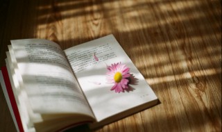 再会是什么意思 男人说再会是什么意思