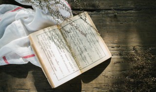 主见是什么意思 一个人没有主见是什么意思