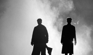 天分的意思 喜剧天分的意思