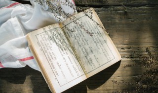 释放的意思 释放的意思解释