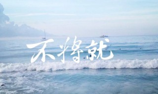 将就的意思（讲究的意思）