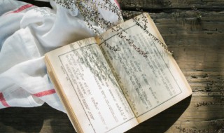 使命的意思 唐雎不辱使命的意思