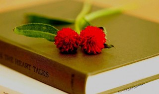 固然是什么意思 居然是什么意思解释