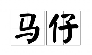 马仔是什么意思（给人当马仔是什么意思）