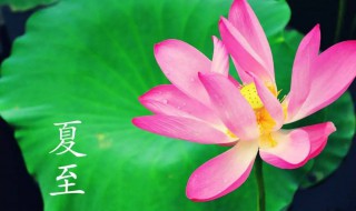 夏至第几节气 夏至第几节气开始凉快