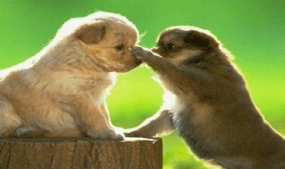 宽容是什么意思 眼睛宽容是什么意思