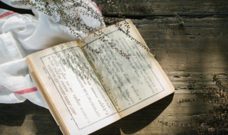 傻子是什么意思 sb的真正含义是什么意思