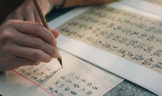 柒什么意思（贰零壹柒什么意思）