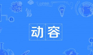 动容是什么意思（为之动容是什么意思）