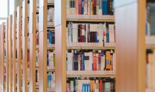 杏坛是什么意思（倾心育桃李,芳华献杏坛是什么意思）