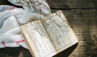 一饱眼福是什么意思（一饱眼福是什么意思文中指）