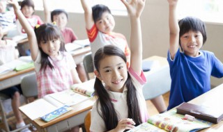 wolf什么意思中文（wolf的中文是什么意思）