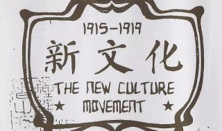 有关于新文化运动的文献（关于新文化运动的文献综述）
