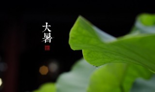 关于大暑的手抄报（关于大暑的手抄报简单又漂亮）