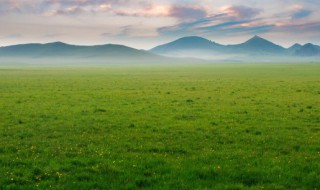 敕勒歌原文 敕勒歌原文翻译