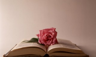 倏忽的意思是什么 时光倏忽的意思是什么