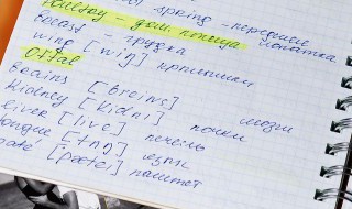 seeds是什么意思 seed是什么意思