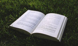 悲观的反义词（悲观的反义词英语）