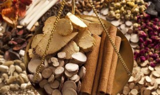 中医自考本科有什么条件与要求（中医学自考条件）