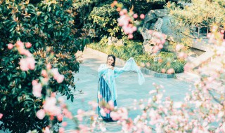 人面桃花相映红全诗原文翻译及赏析 人面桃花相映红全诗典故