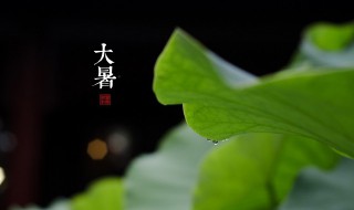 大暑节气的特征有哪些 大暑时节的特征
