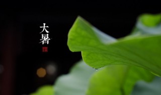 大暑是什么意思简单说明 大暑是什么意思含义介绍