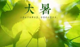 大暑的时间（大暑的时间是多少）