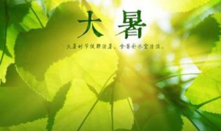 大暑的来历介绍（大暑的由来简介）