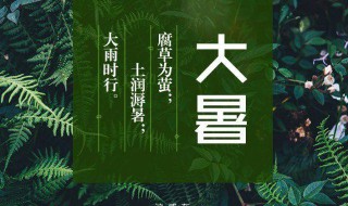 解读大暑节气的气候特征（解读大暑节气的气候特征是什么）