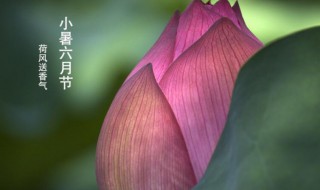 小暑的天气特点是怎么样的（小暑天气有什么变化）