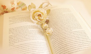 lead什么意思 cheat