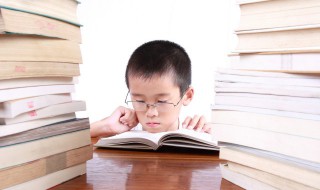 pic是什么意思（pic是什么意思的缩写）