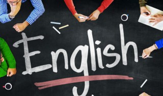 option是什么意思啊