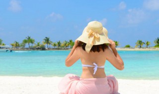 鹿角解蝉始鸣半夏生是什么意思（鹿角解,蝉始鸣,半夏生什么意思）