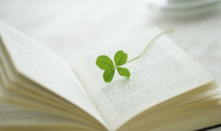 瞠目结舌是什么意思（瞠目结舌是什么意思简洁成三个字）