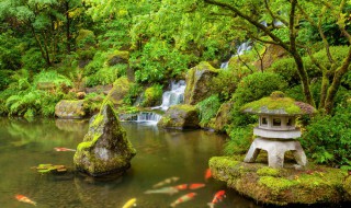 古诗小池全部解释（古诗小池解释全首诗）