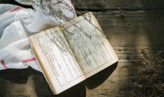 桃李不言下自成蹊的意思是什么